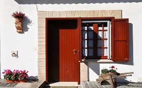 Pepe Guest House