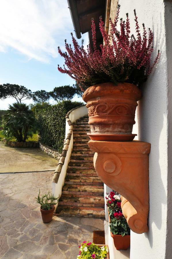 Pepe Guest House Roma Esterno foto