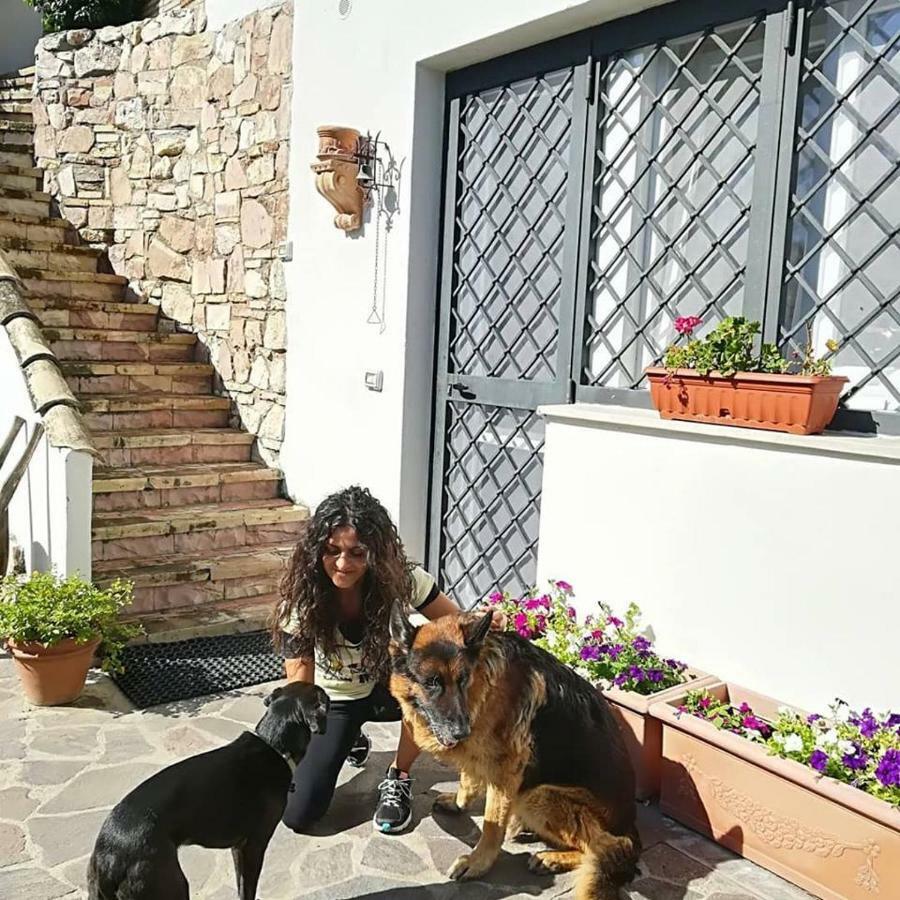 Pepe Guest House Roma Esterno foto